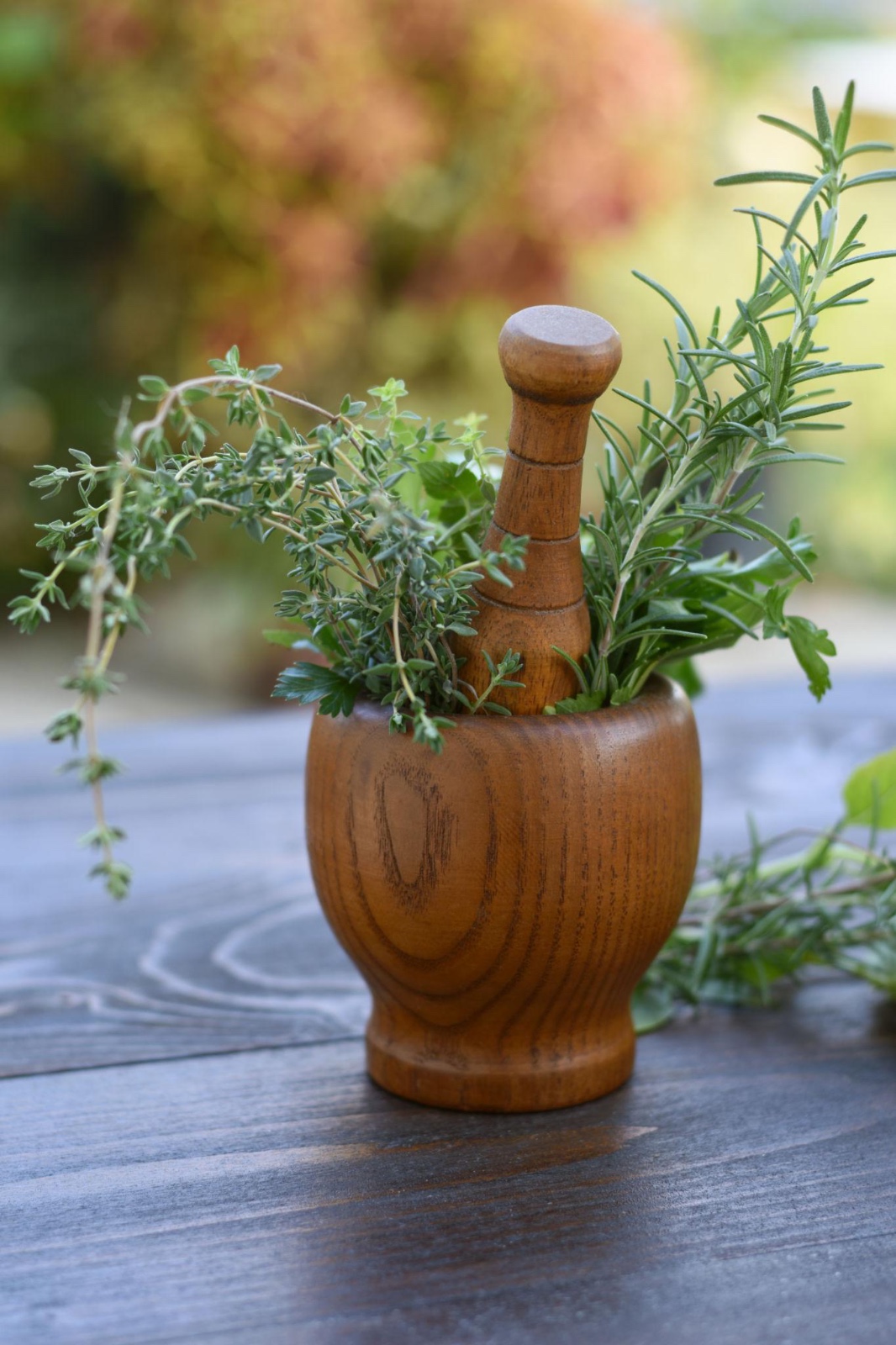 Specialized Sexual & Reproductive Health Care – A Holistic Perspective